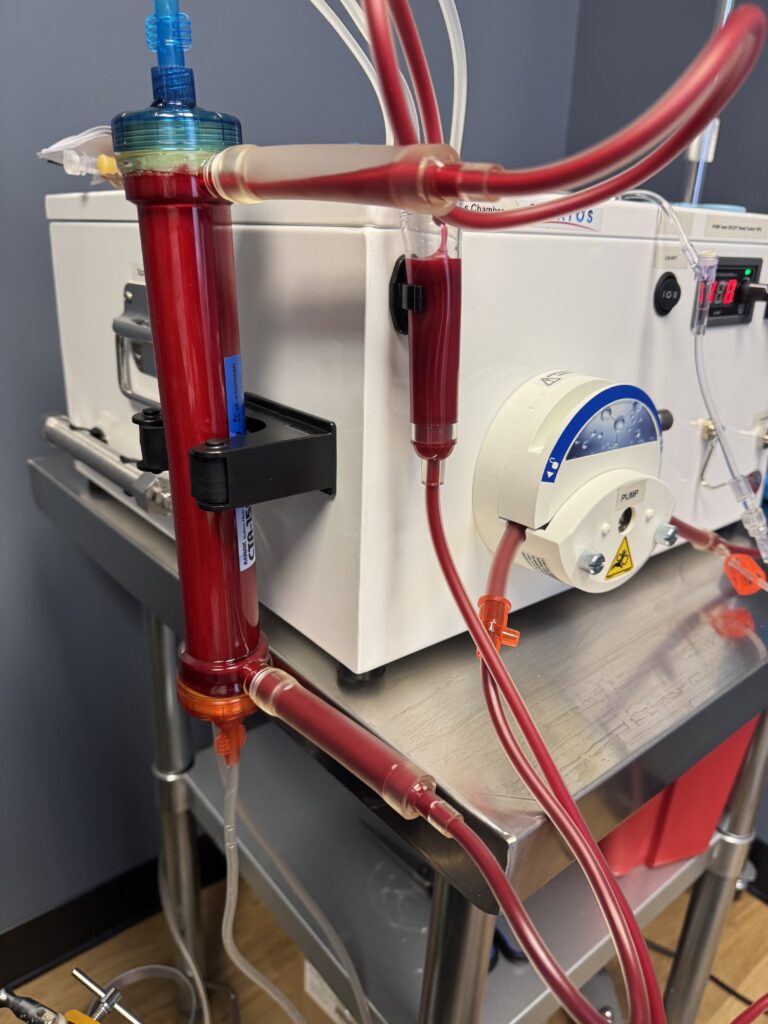 Photo of stratos eboo machine with treatment in progress
