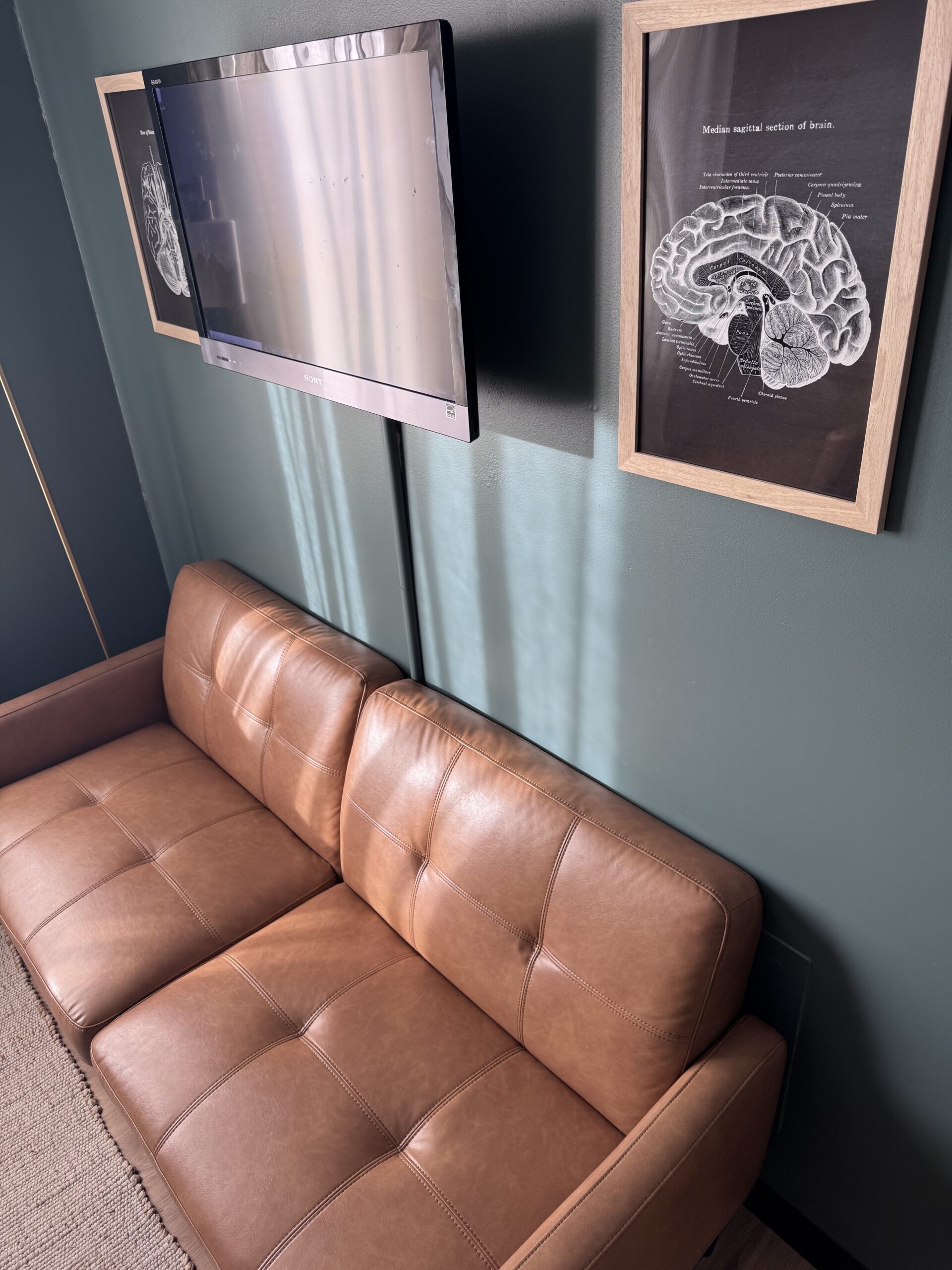 brown couch in counselors room with photos above